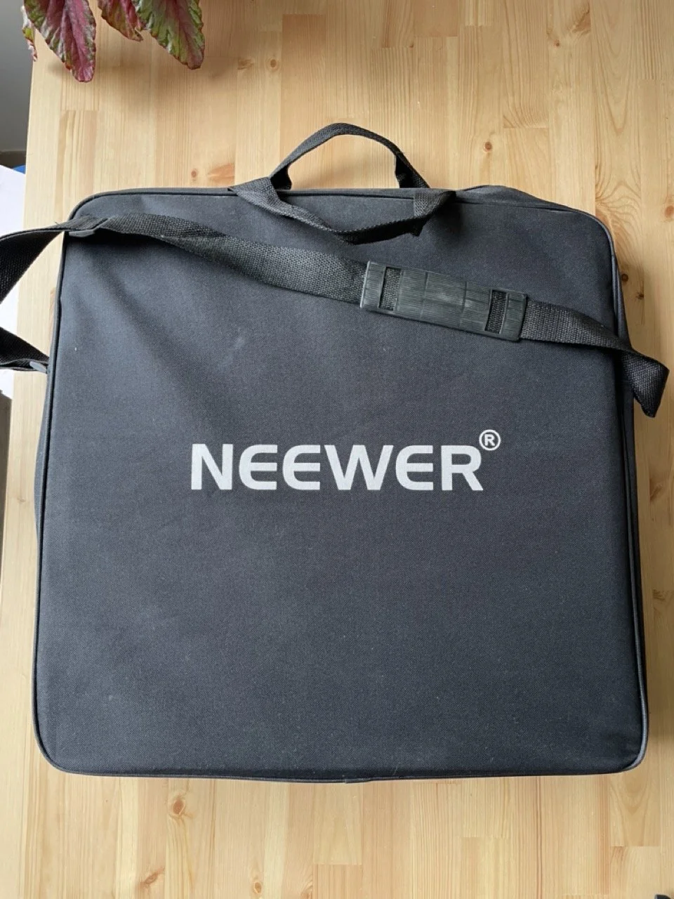 IMG_4662 - Grande.jpeg