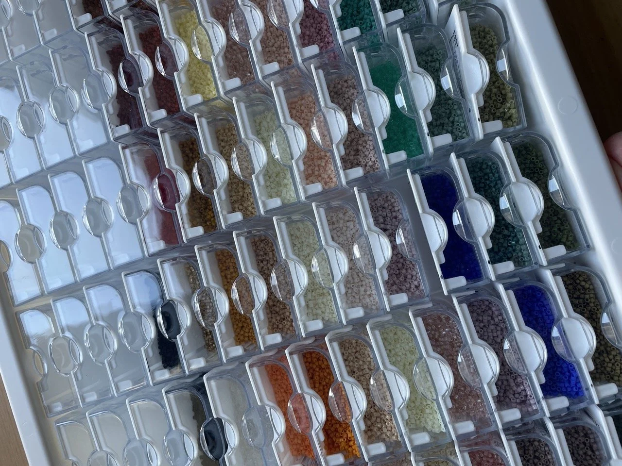 IMG_4280 - Grande.jpeg