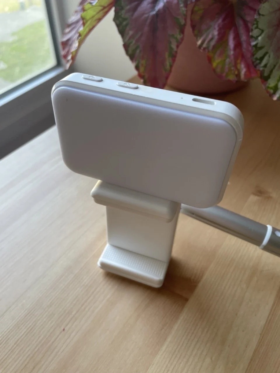 IMG_4458 - Grande.jpeg