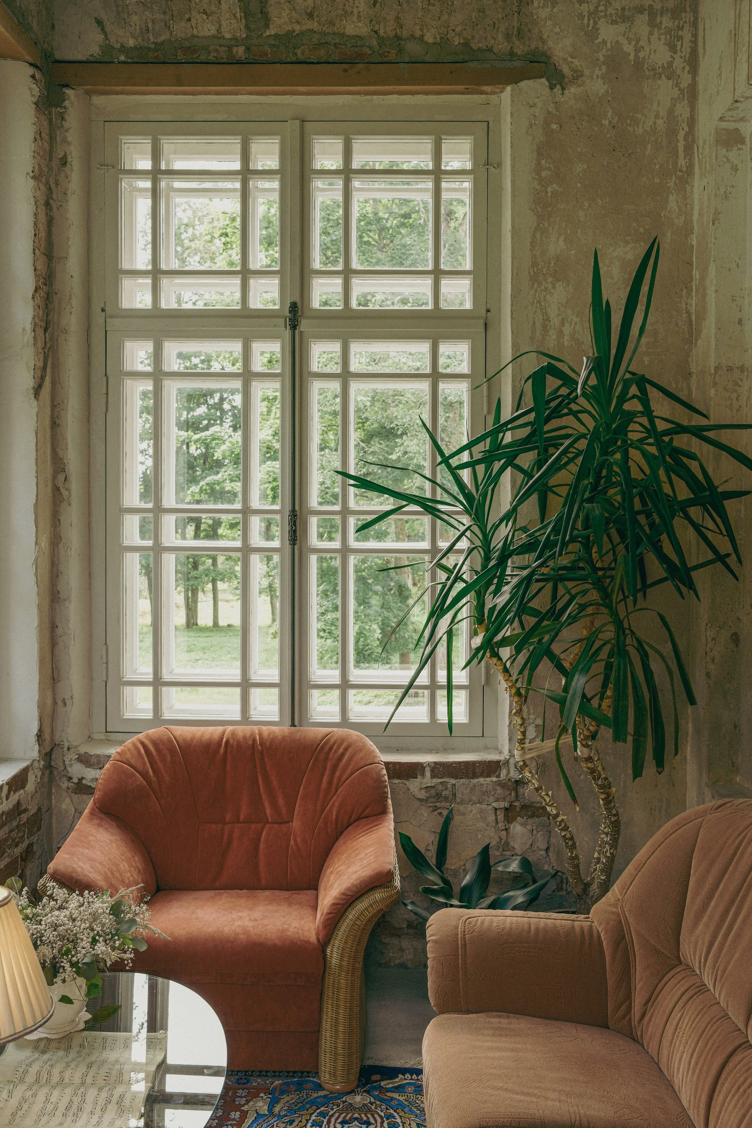 A cozy interior with vintage furniture, including a pink velvet armchair and a beige couch, next to a large potted plant by a window with a view of greenery outside.