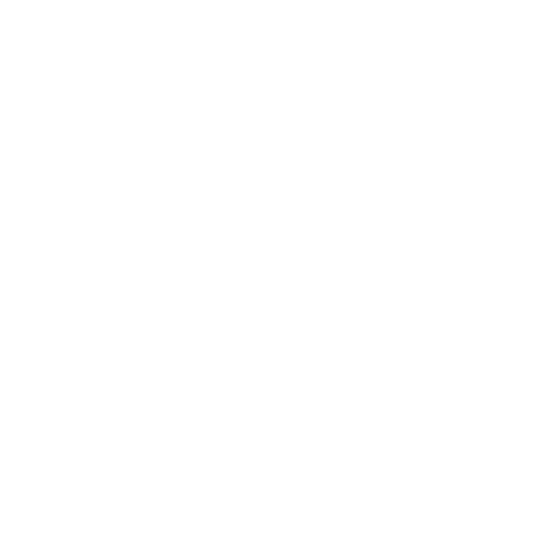 Client_logo_0015_allseas_white.png