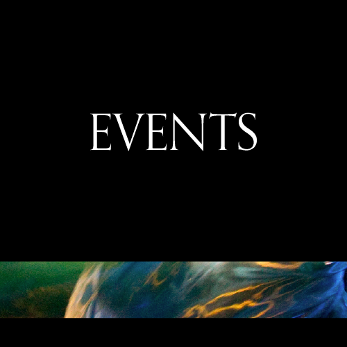 Events portfolio button