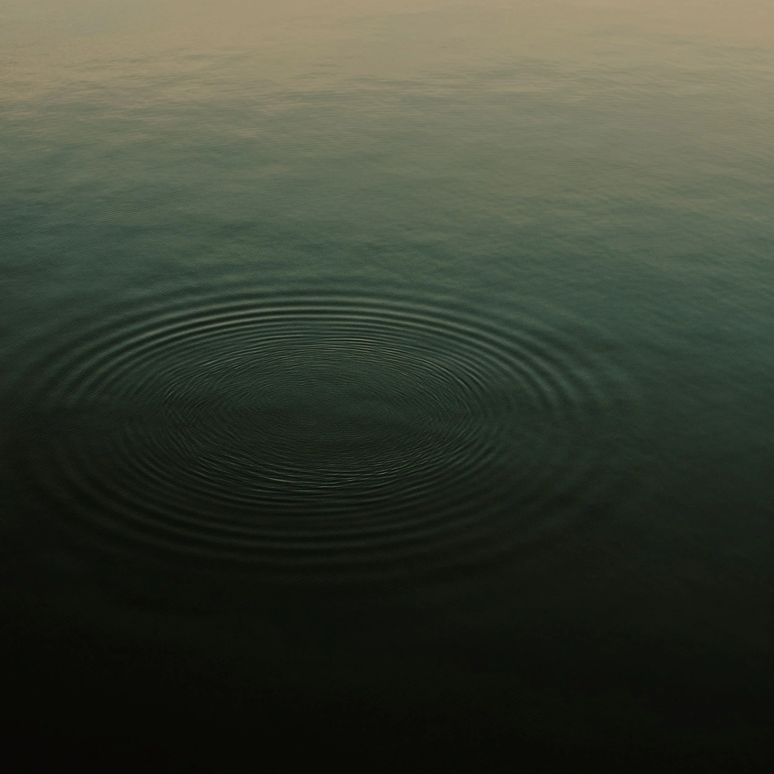 Yoga and Finding Balance in Motion