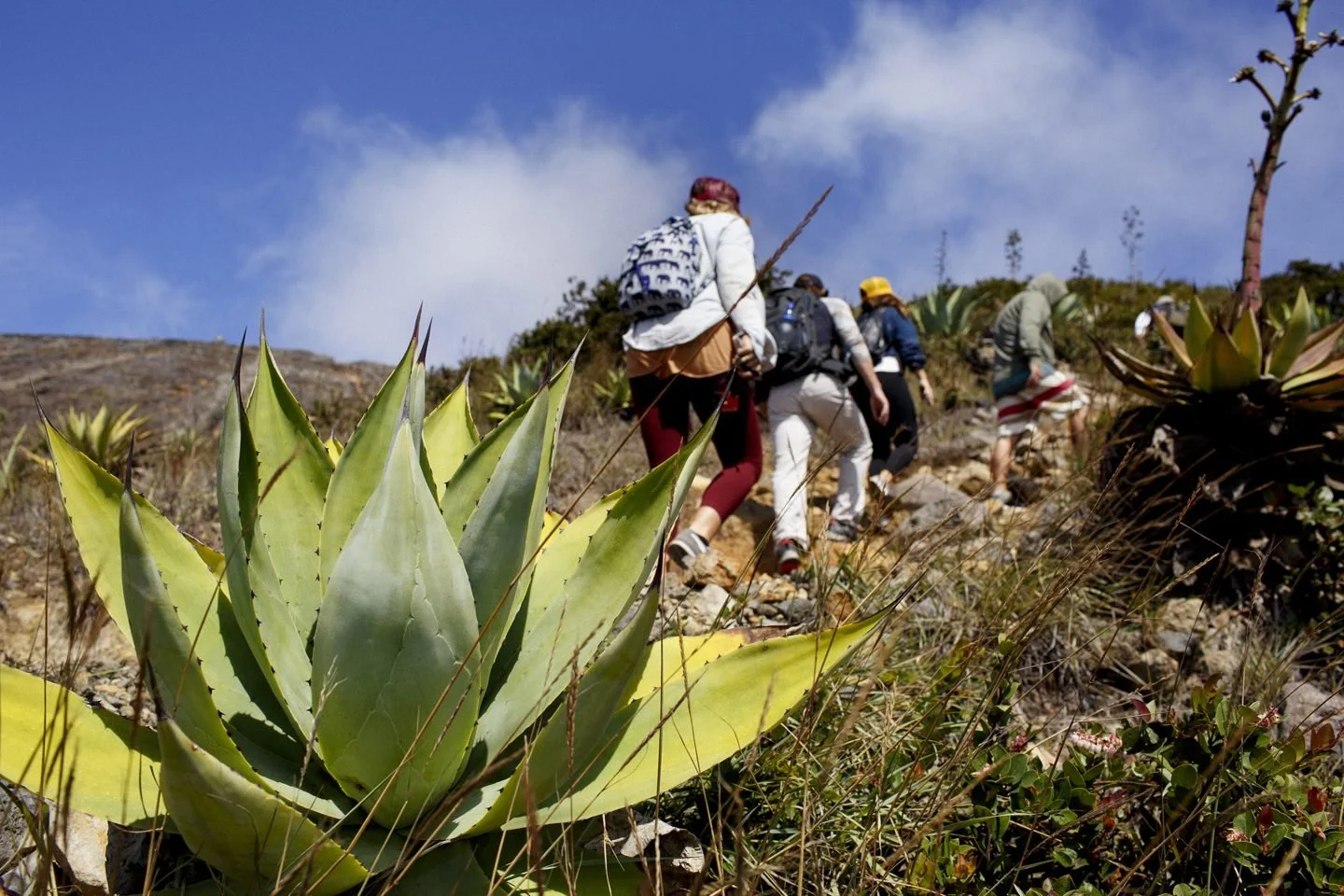 Group Travel