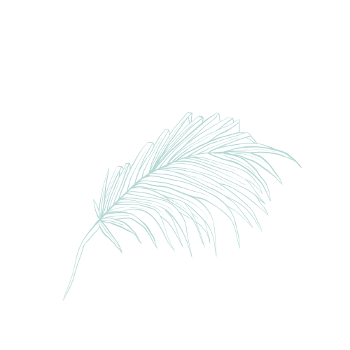 Decorative palm leaf illustration