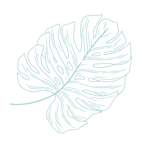 Decorative tropical leaf illustration