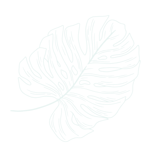 Outline of a monstera leaf with detailed veins on a black background.