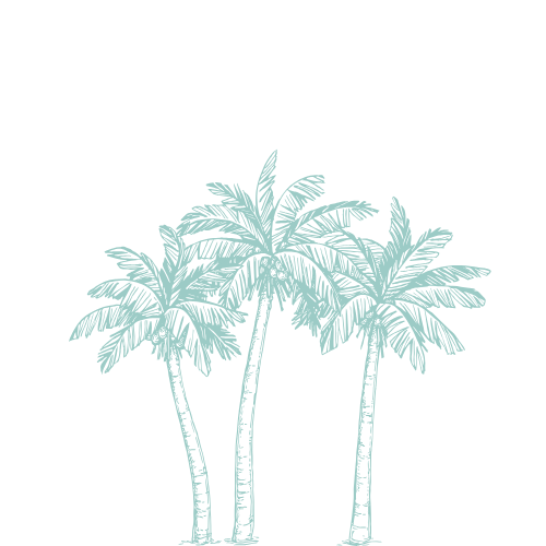 Decorative palm tree illustration