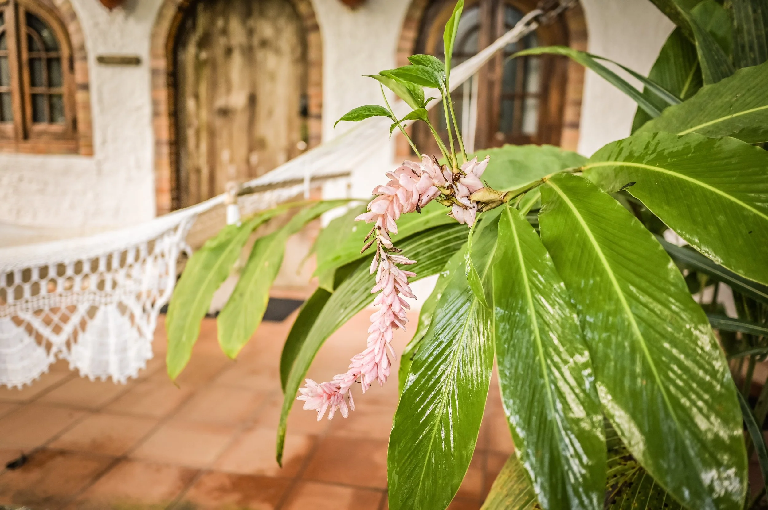 Villa Siesta 