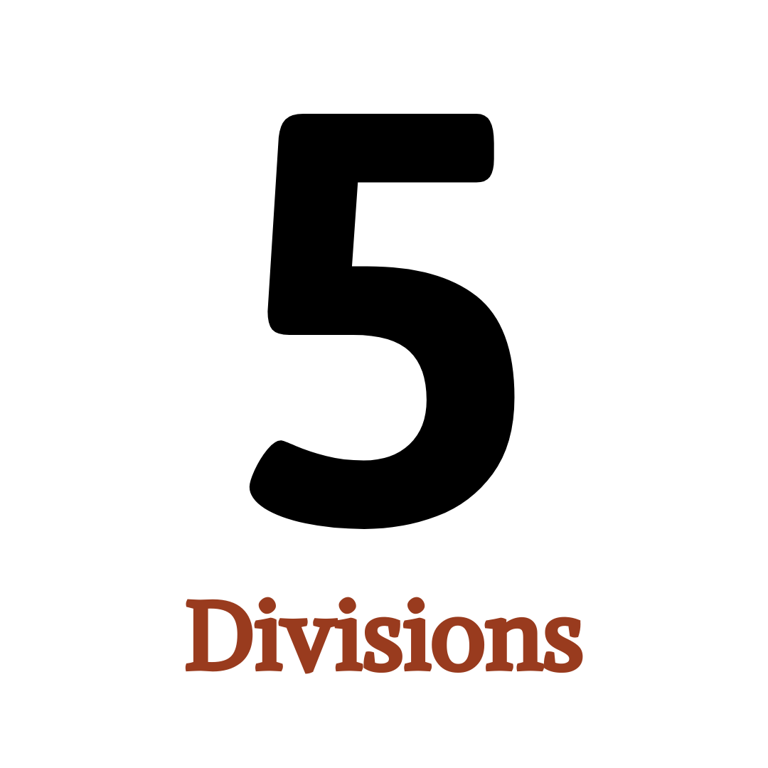 5 Divisions