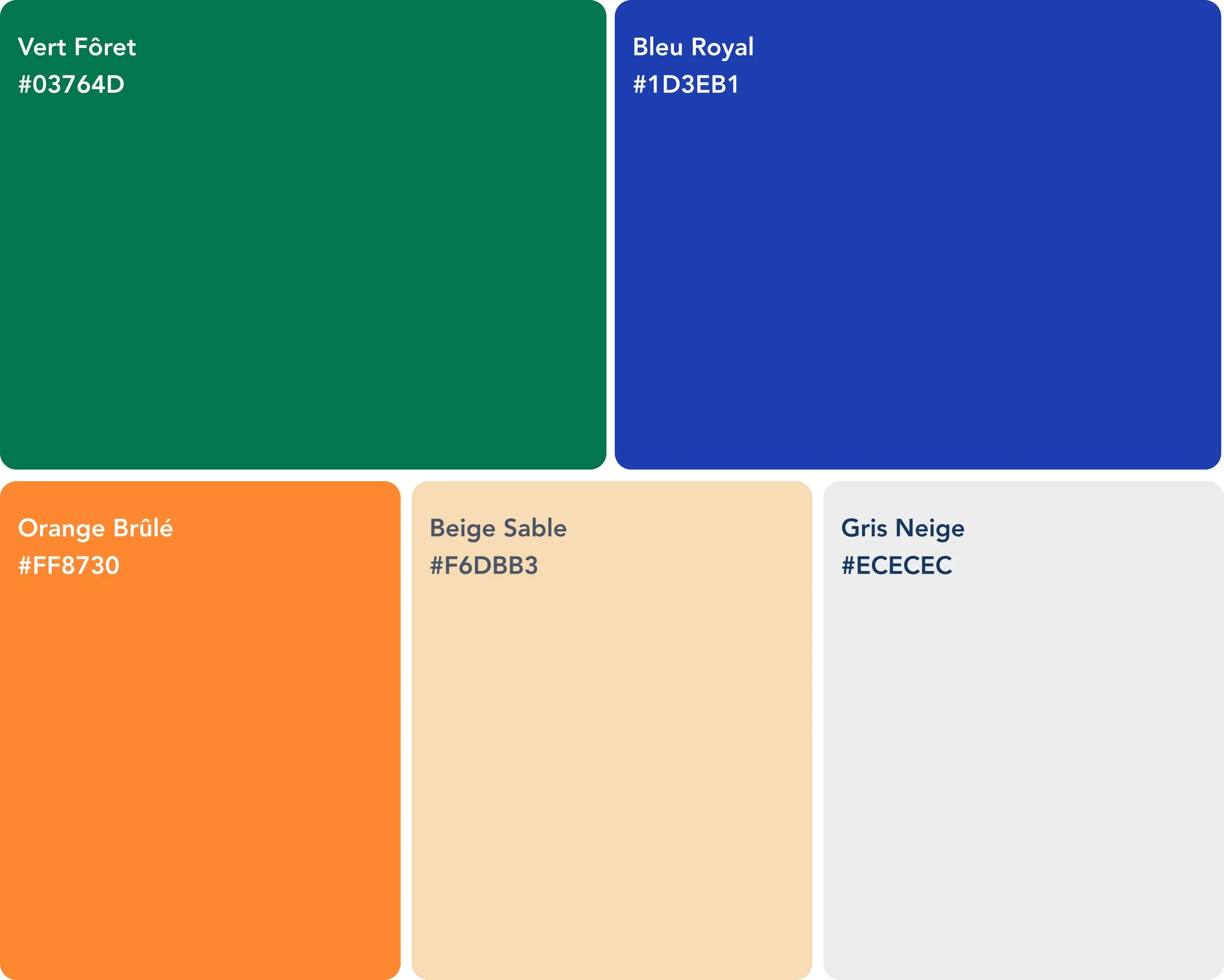 Échantillons de couleurs avec leurs noms et codes hexadécimaux: Vert Forêt, Bleu Royal, Orange Brûlé, Beige Sable, Gris Neige.