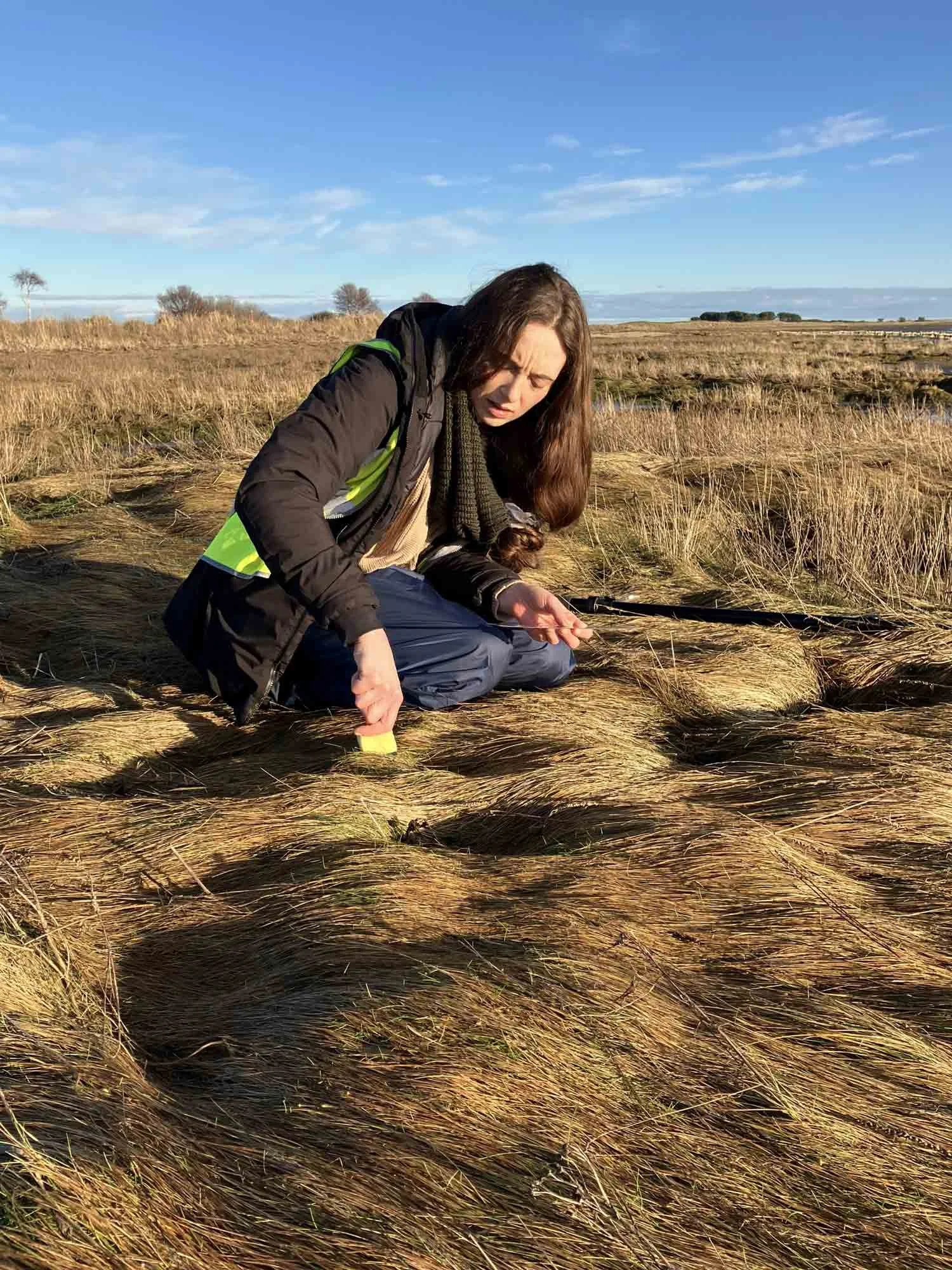 Woman-taking-samples-from-a-salt-marsh-on-a-sunny-day.jpg