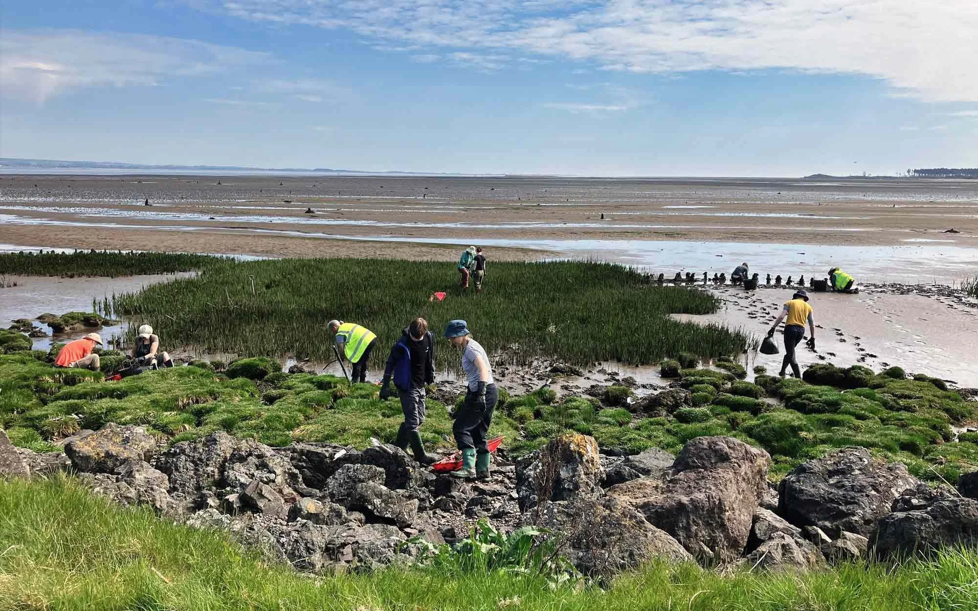 Volunteers-planting-at-Tayport.jpg