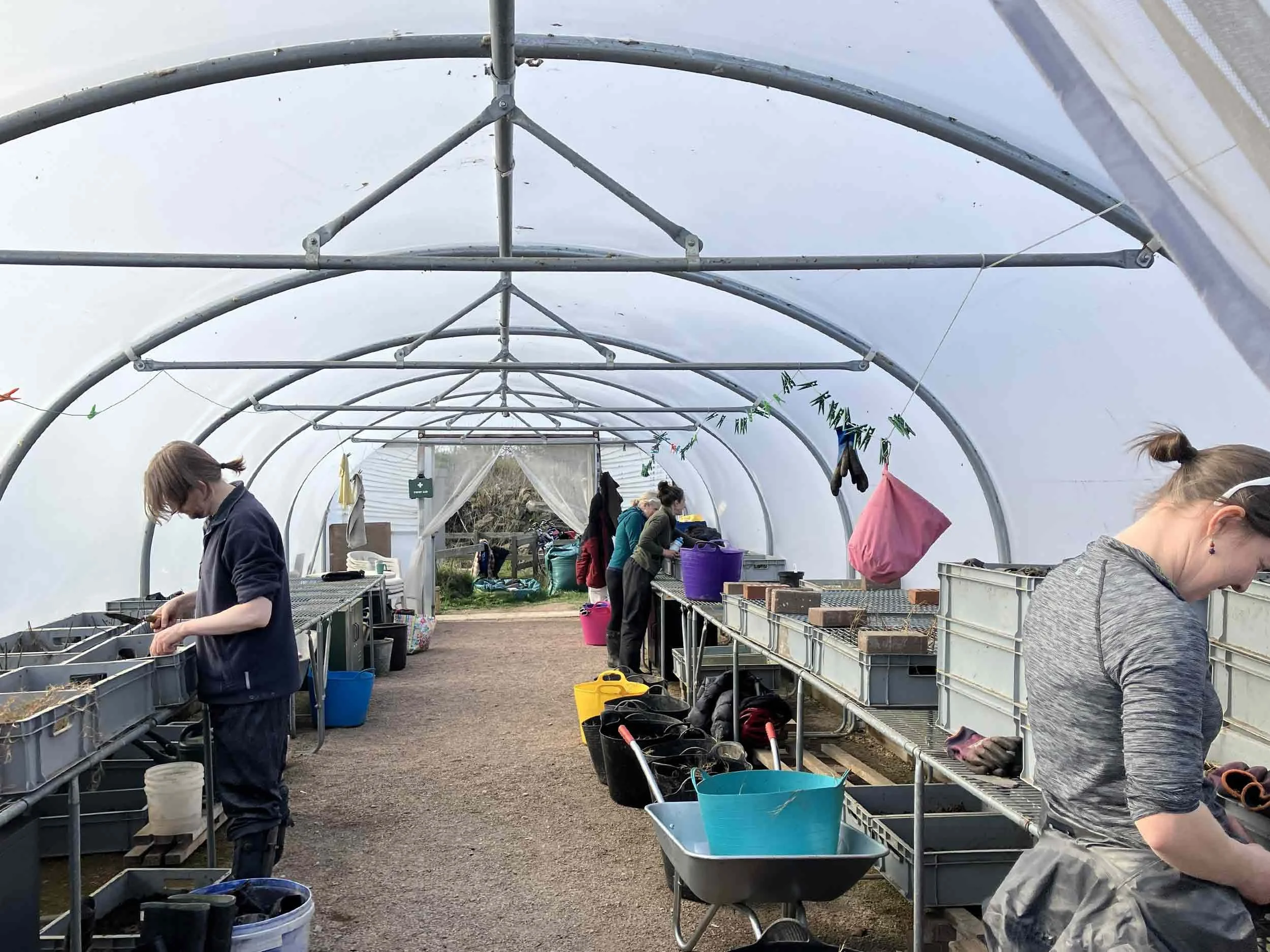 Volunteers-working-at-benches-in-a-poly-tunnel.jpg