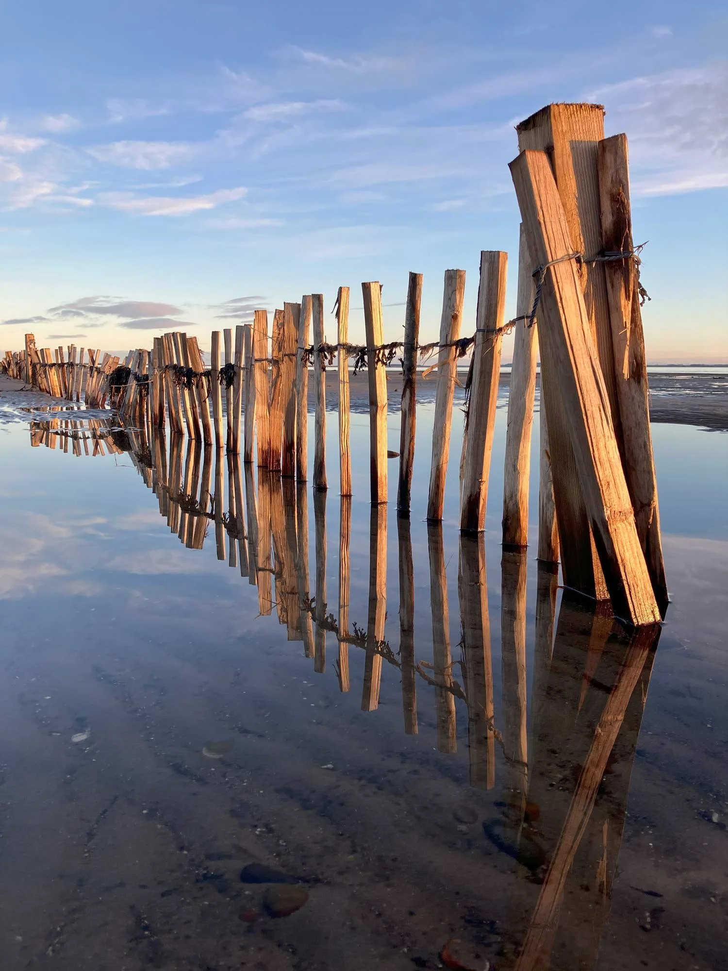 Wooden-fence-reflecting-in-seawater-along-a-sandy-beach.jpg