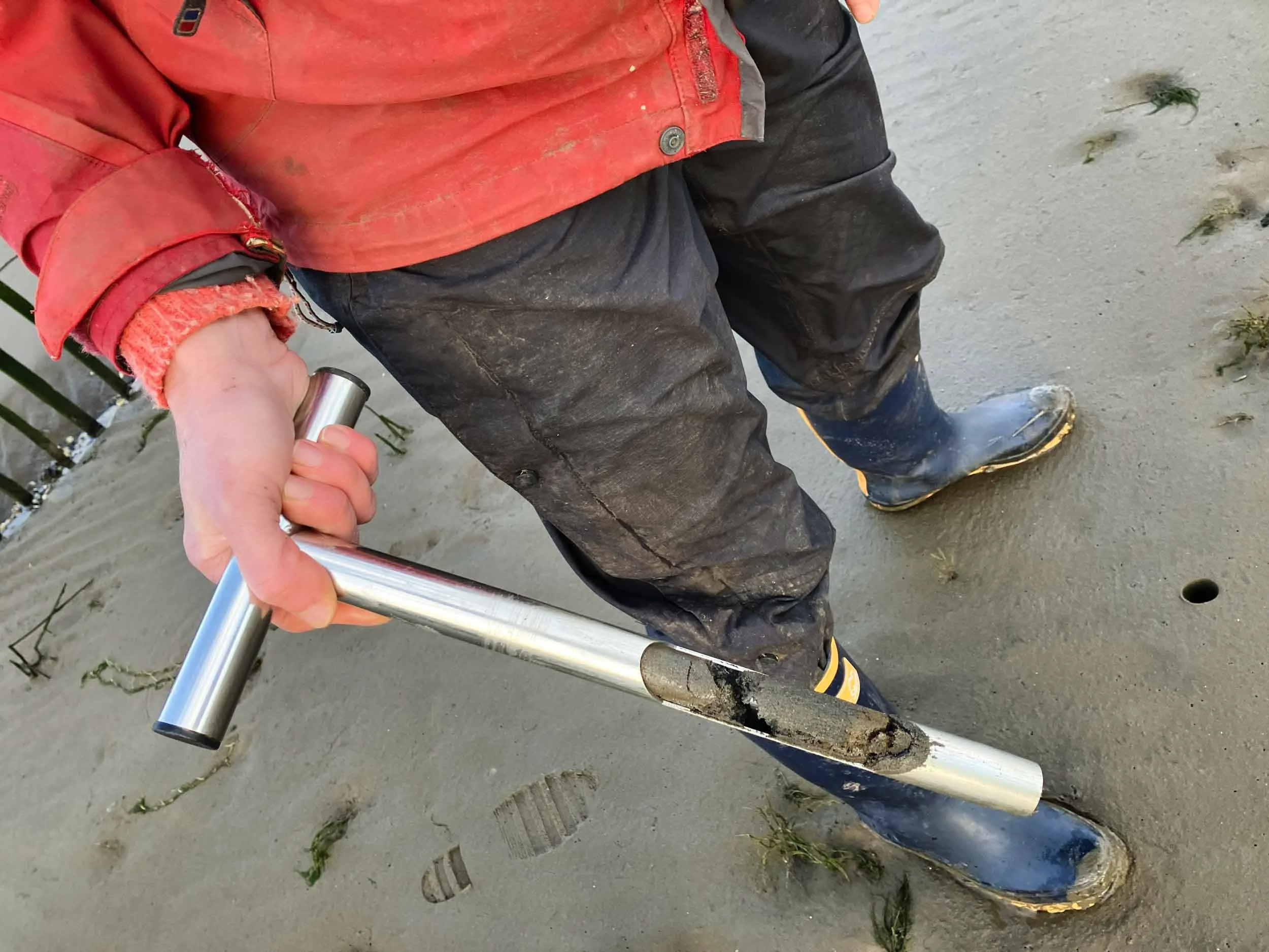 Volunteer-holding-a-core-sample.jpg