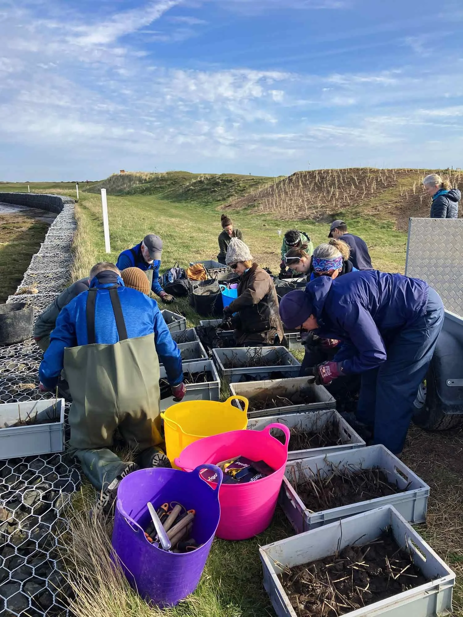 Volunteers-preparing-plants-before-planting.jpg
