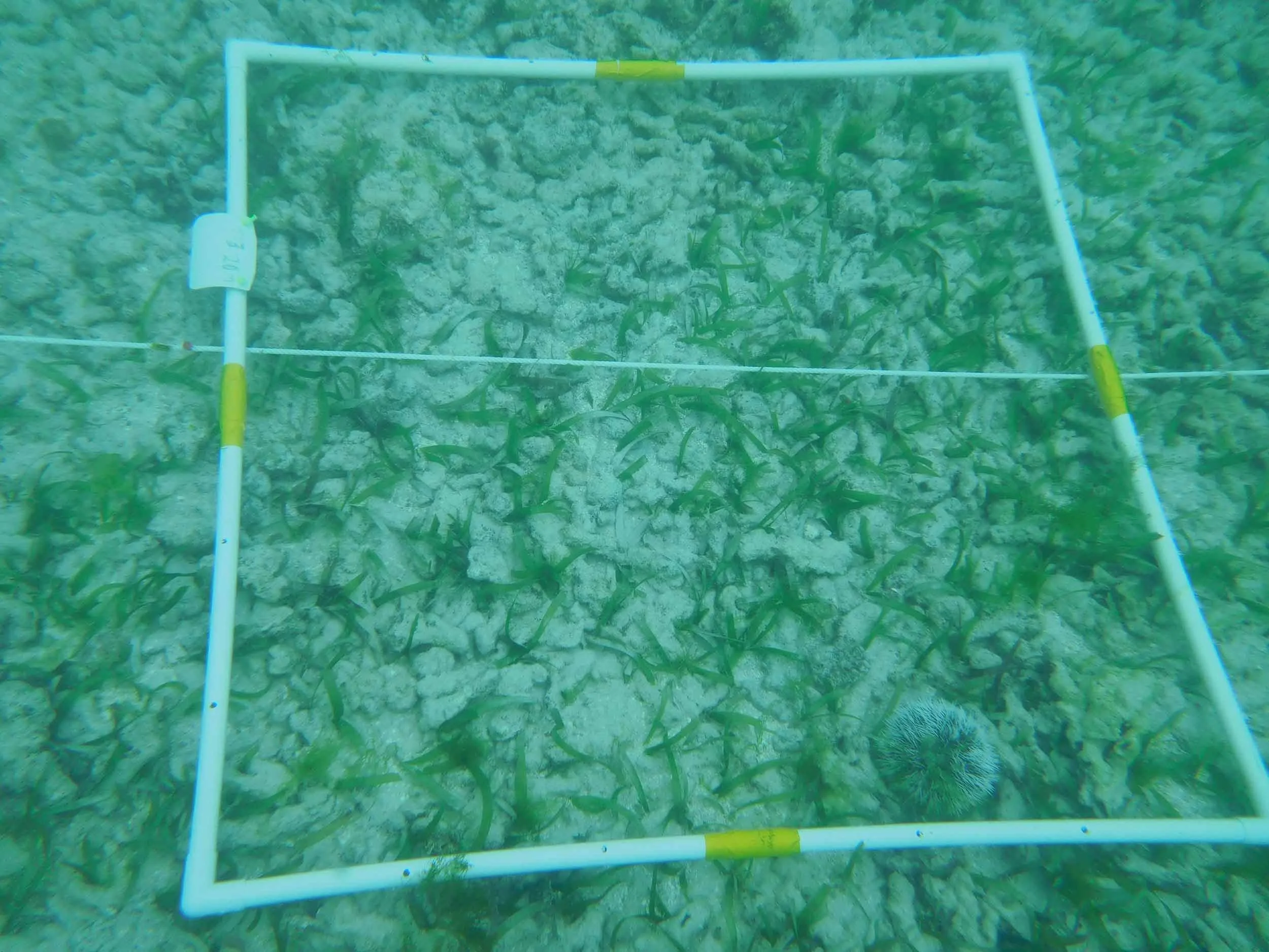 Quadrant on the sea bed.jpg
