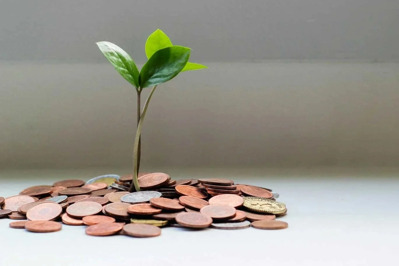 A small green plant sprouting from a pile of various coins, including pennies, nickels, dimes, and quarters, on a white surface.