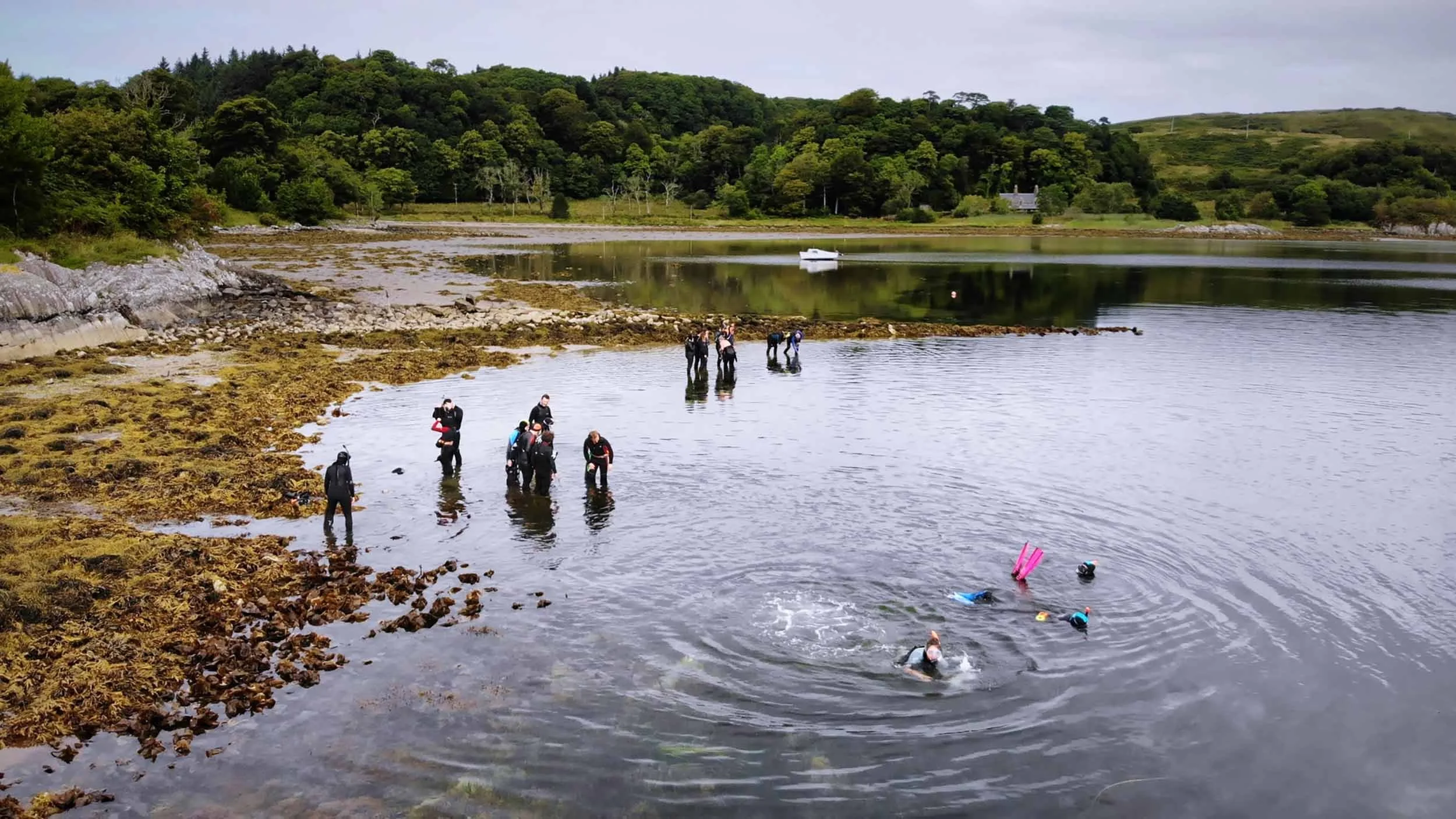aerial-boat-and-seawilding-volunteer-snorkellers-harvesting-seagrass.jpg