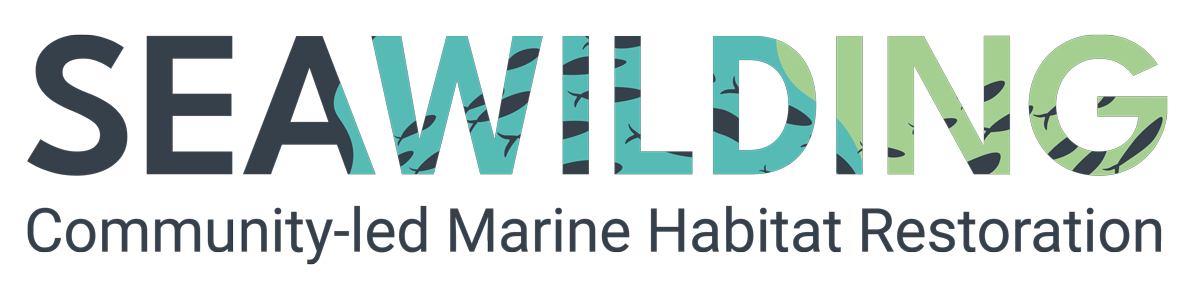 Seawilding logo transparent.png