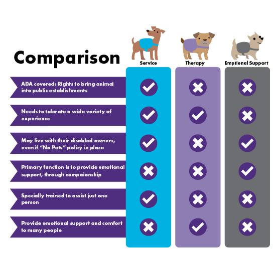 A visual comparison chart for Student Accessibility Services that shows the different services an animal can provide.