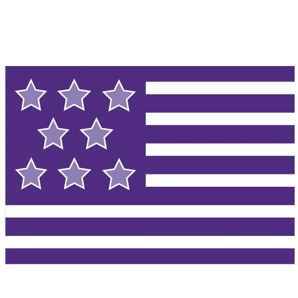 A purple flag with light purple stars.