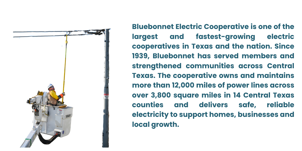 Bluebonnet.png