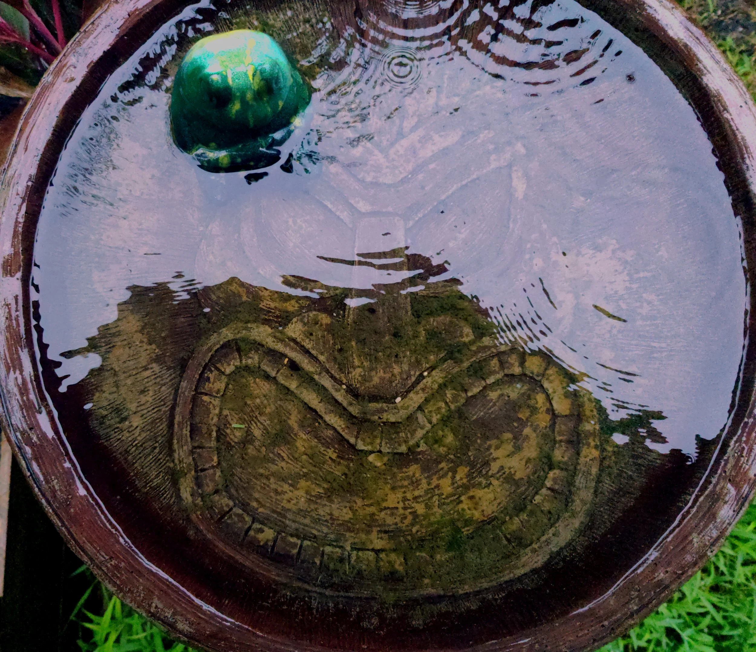 Frequencies, Meditation, and Embracing the Woo