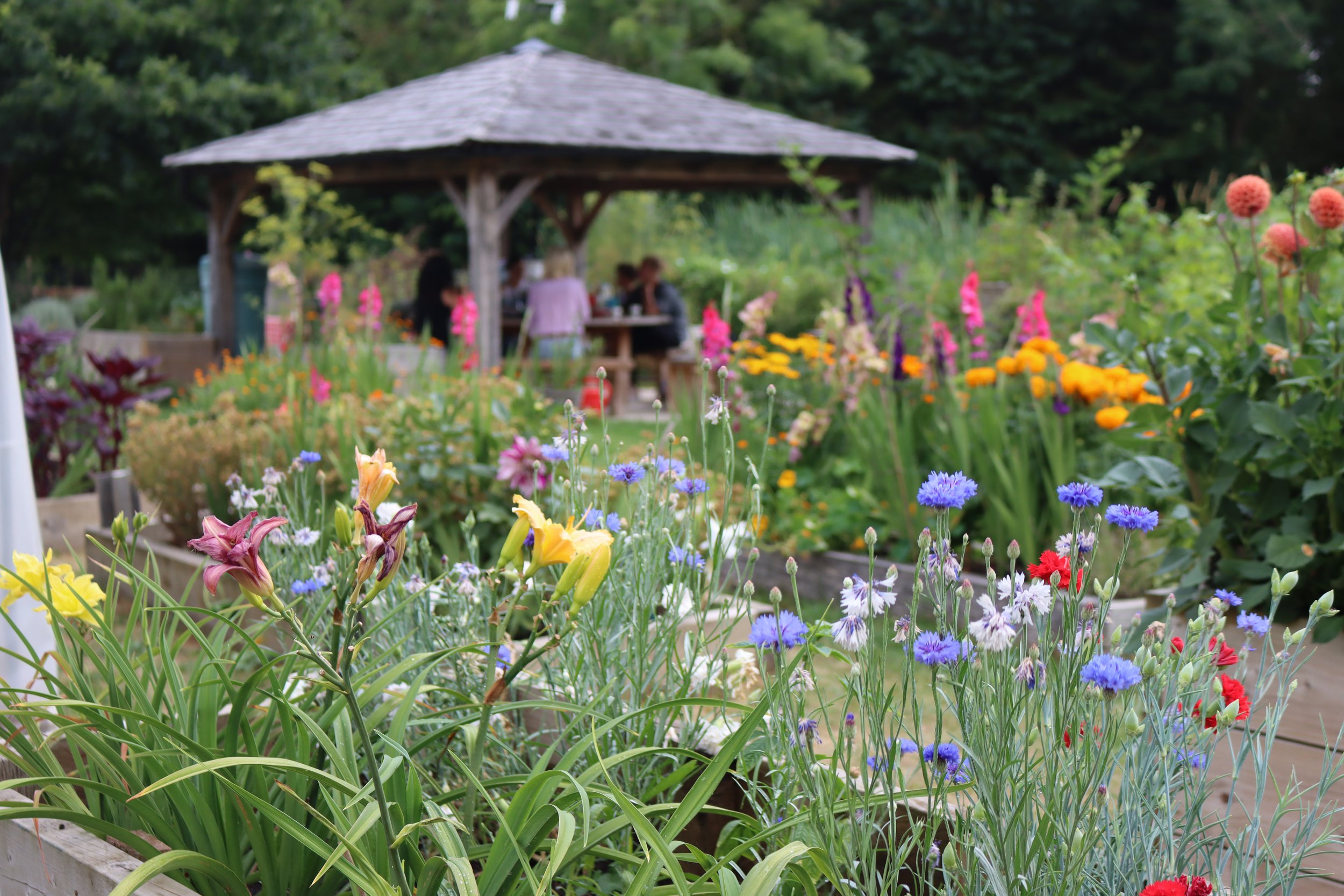 community garden.JPG