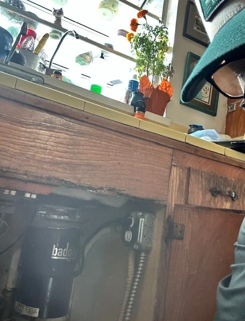 View of a kitchen counter with various objects including a potted plant with orange flowers, a spray bottle, and a window reflecting the sky. Part of a person wearing a baseball cap and glasses is visible on the right, with a black trash can under the counter.