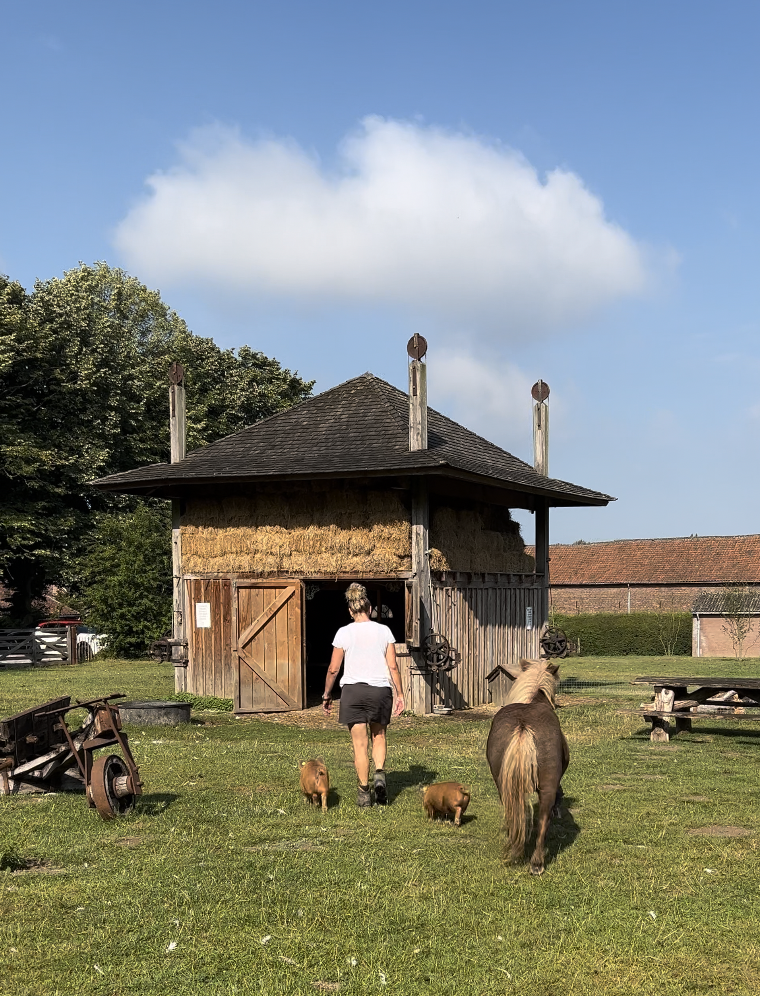 A woman walking toward a rustic wooden barn with a straw roof, accompanied by a horse and two piglets, on a sunny day with blue sky and clouds.