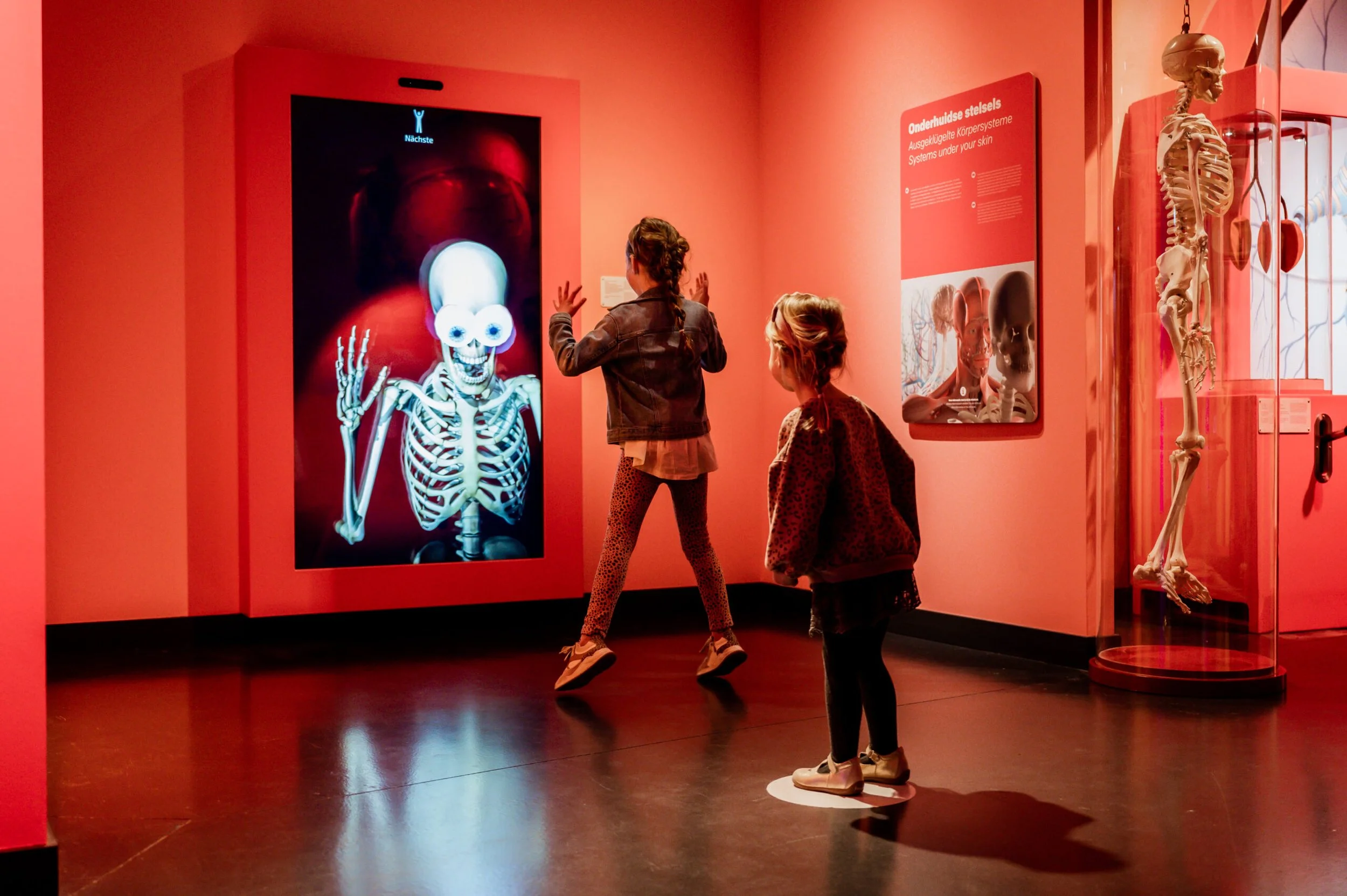 Two children observing an interactive skeleton exhibit at a museum, with a digital display showing a human skeleton.