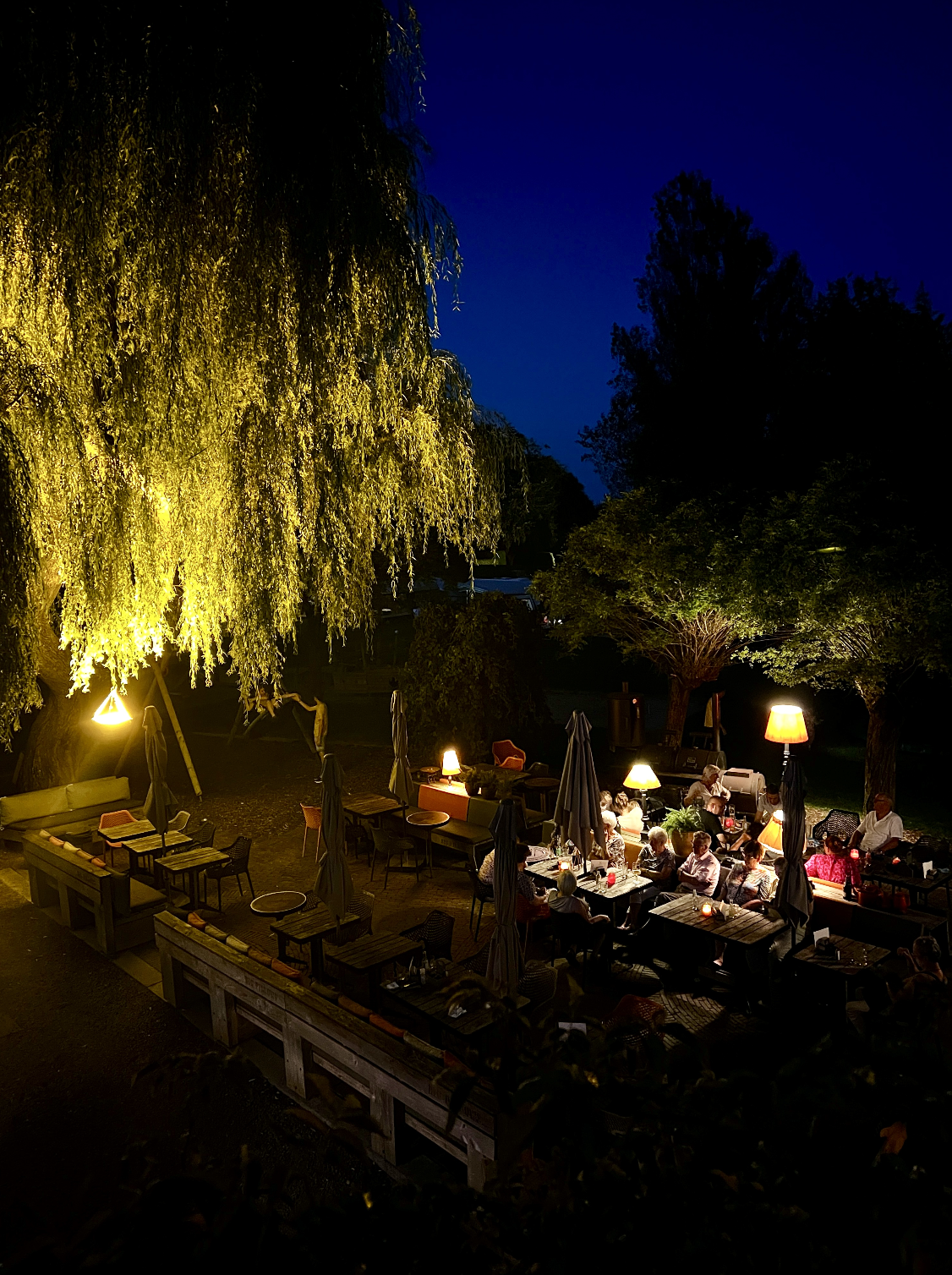 Nighttime outdoor dining scene with people sitting at tables under trees with warm lighting, and large trees with drooping branches illuminated by lights.