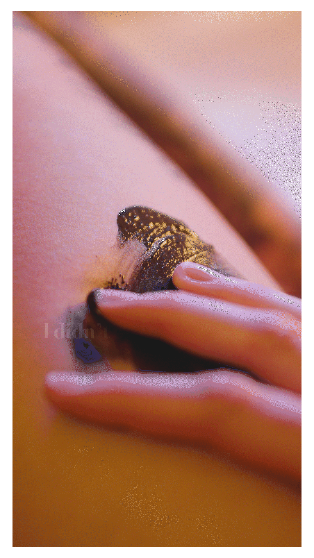 A modern house is situated on a hillside with tall grasses and rolling mountains in the background.