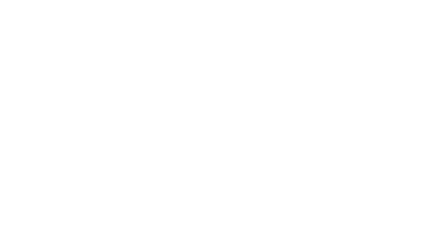 RayvisionProductions