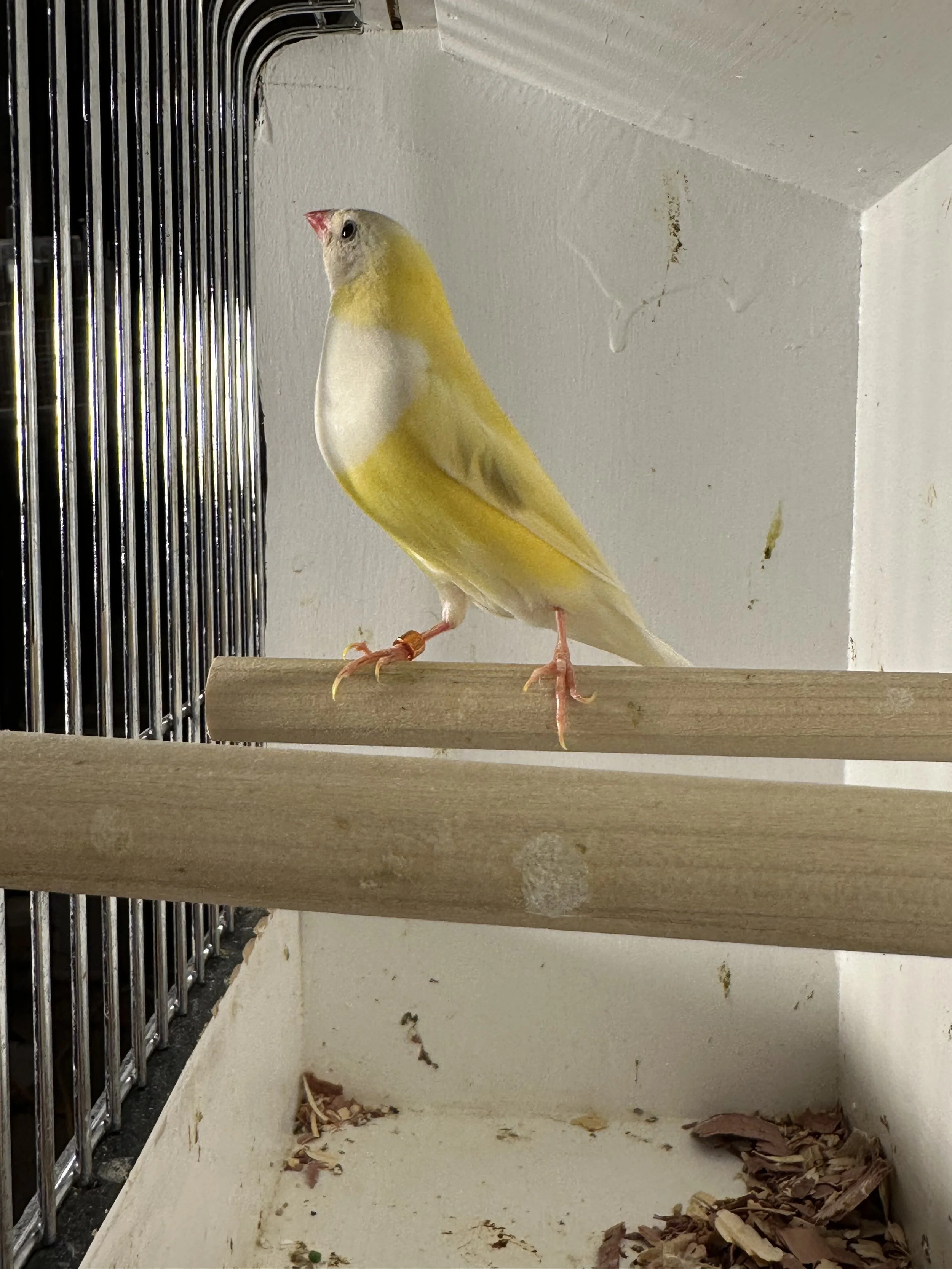 IMG_3783.jpeg