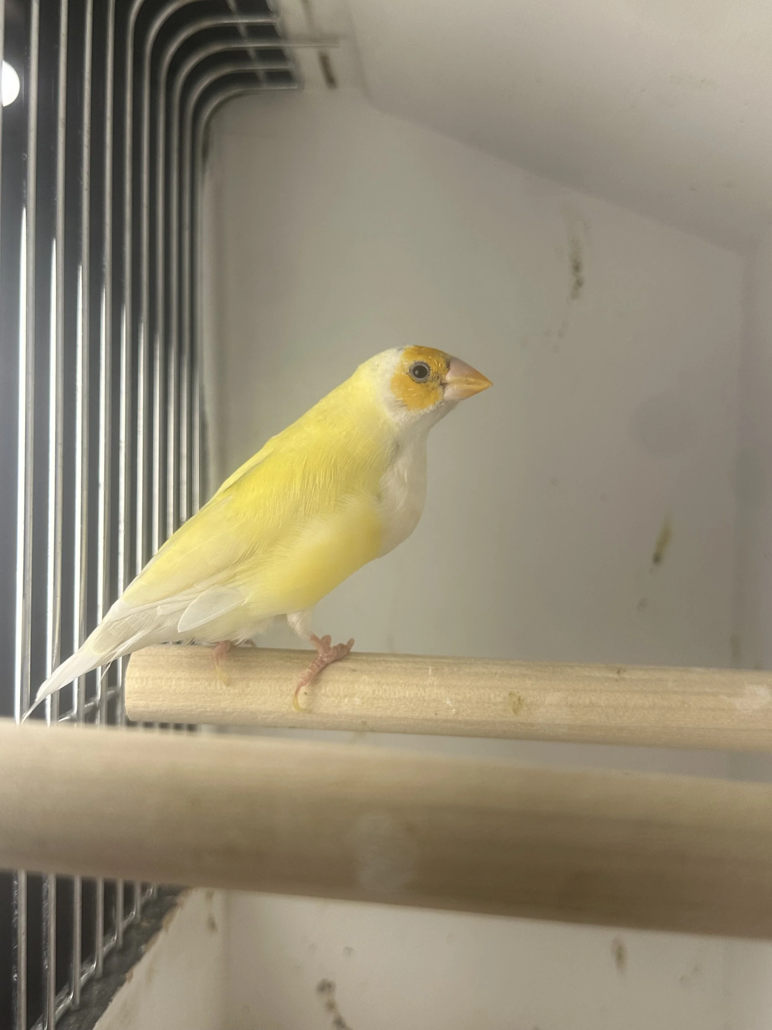 IMG_3799.jpeg