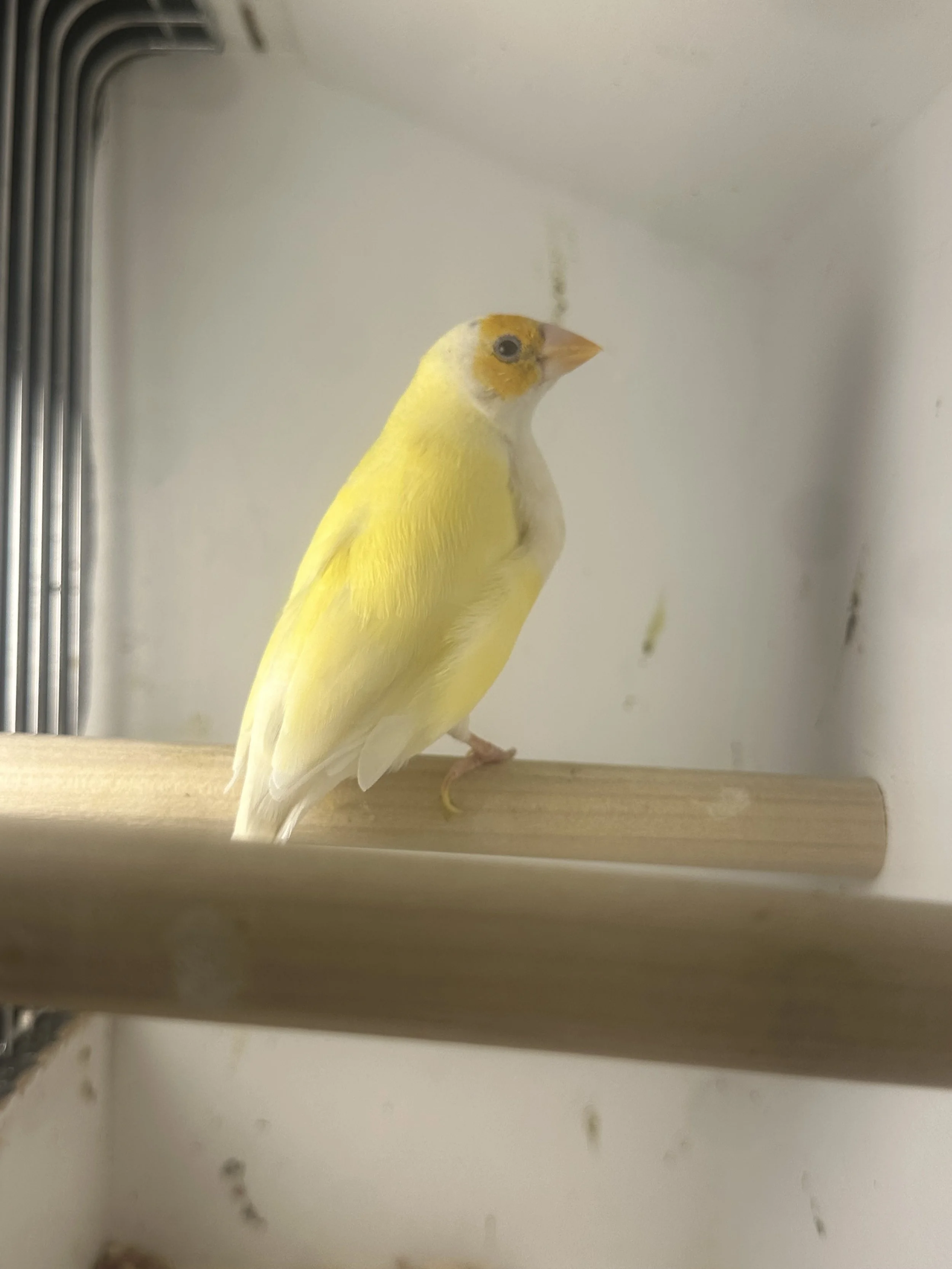 IMG_3797.jpeg