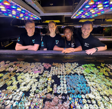 Forever Reef volunteers