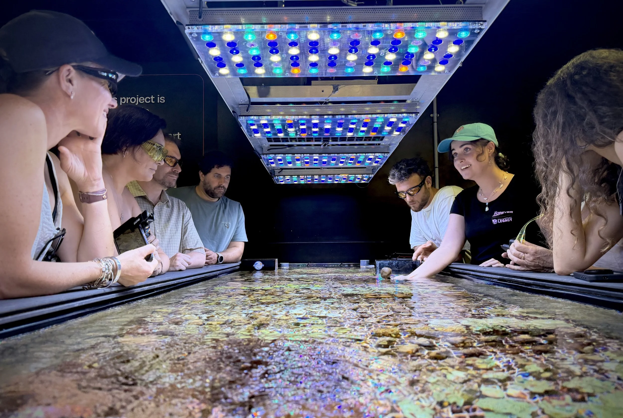 Visitors at the Forever Reef Project