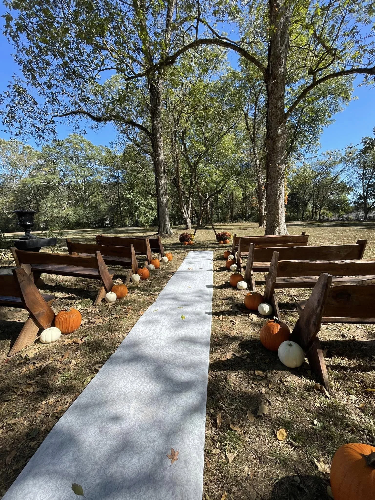 Vanessa Wedding 2.jpeg