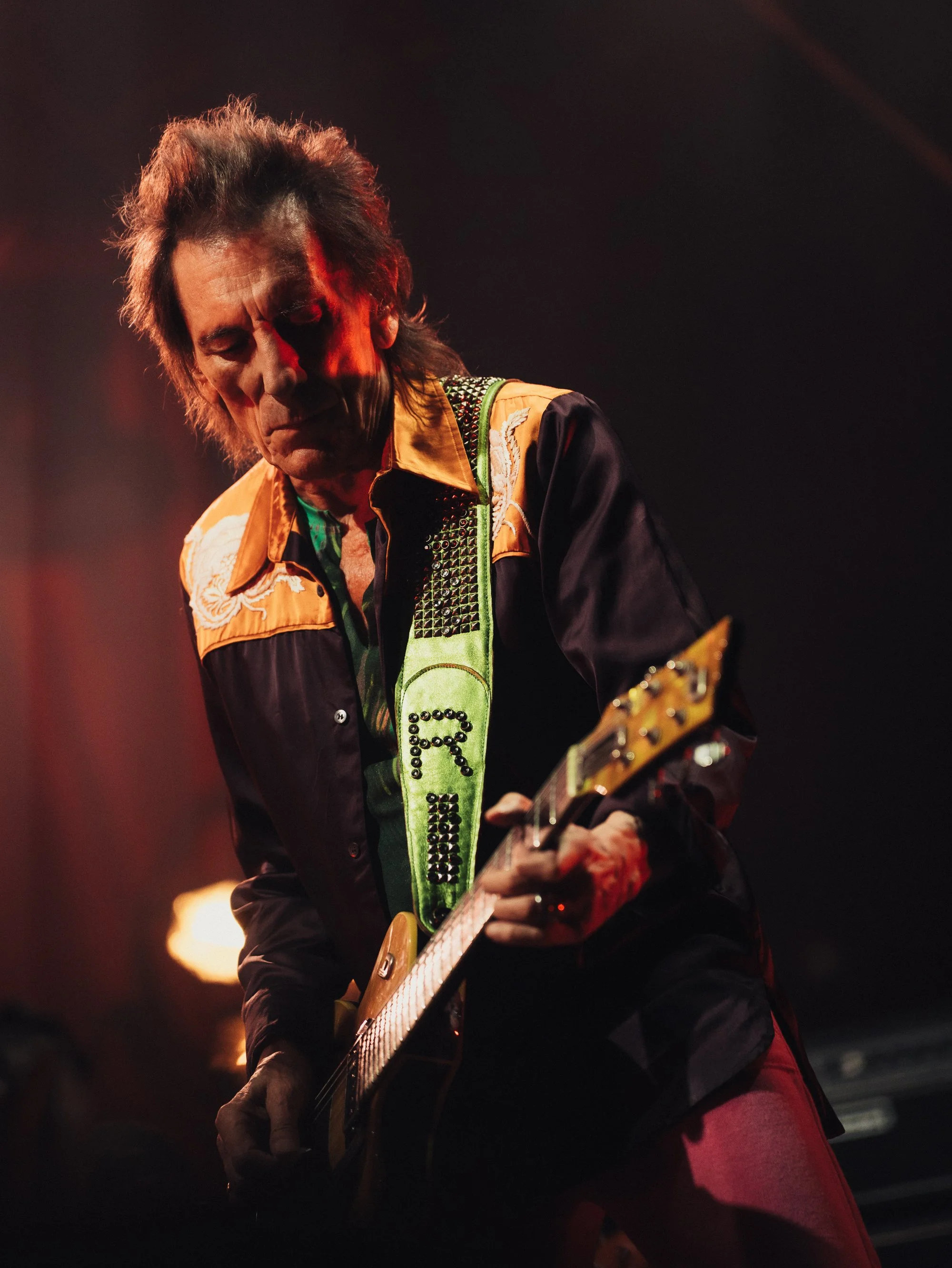 TLR26_DianaDumi_artist_RonnieWood-03532 (1).jpg