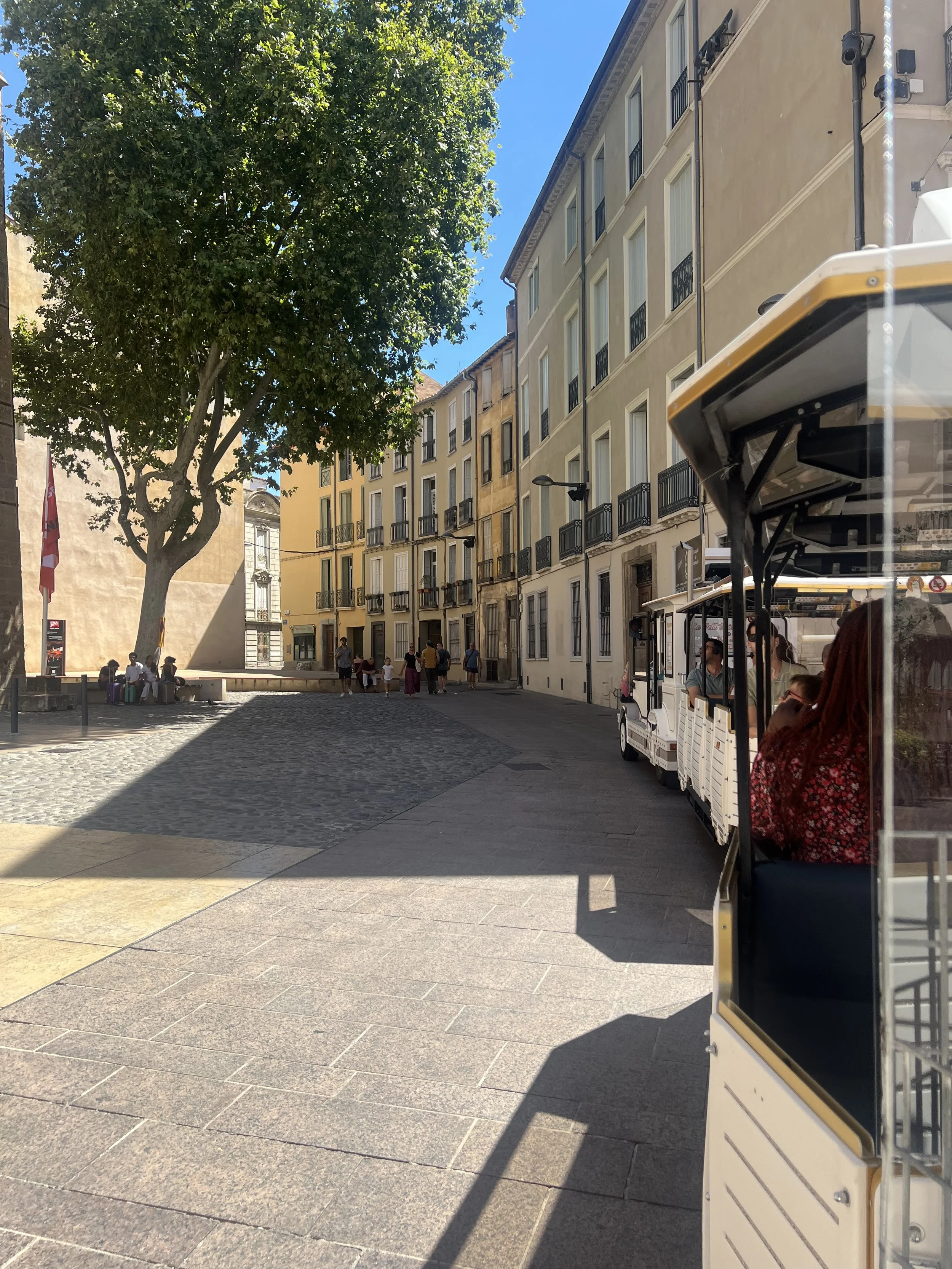 Perpignan Little Tourist Train Photos (5).JPG