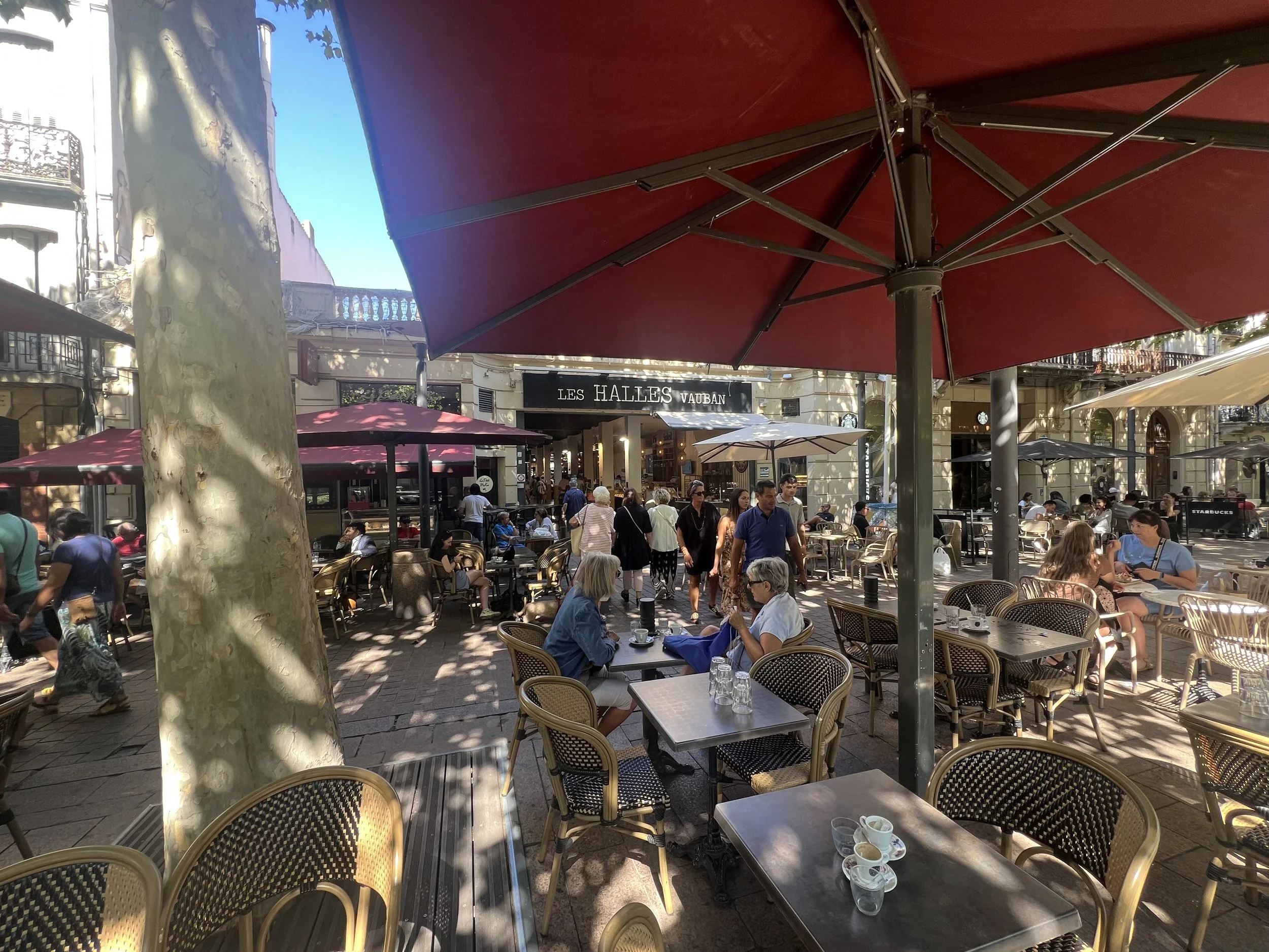 Les Halles Perpignan Photos (10).JPG