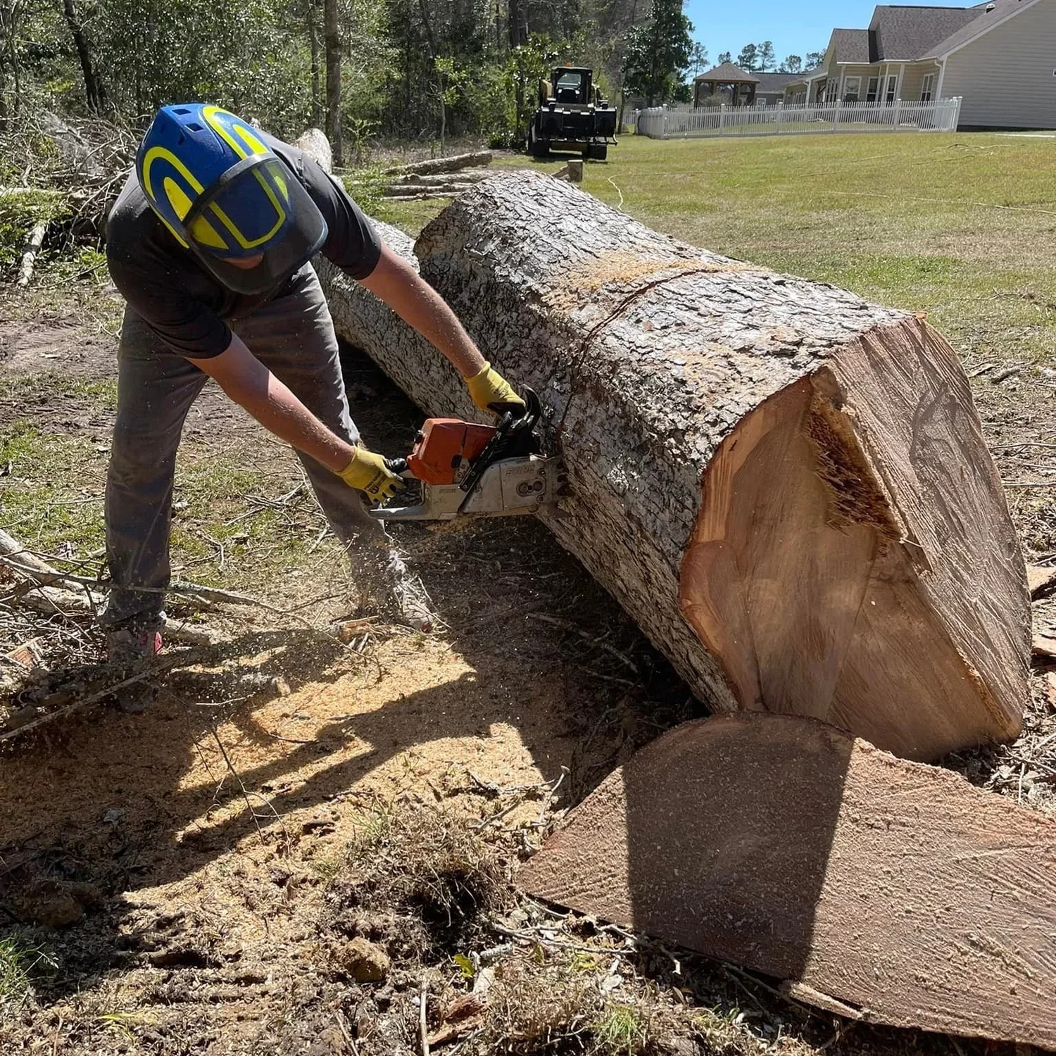 Caf Tree Shallotte, NC Tree Services - Paradise Landscaping & Tree Removal