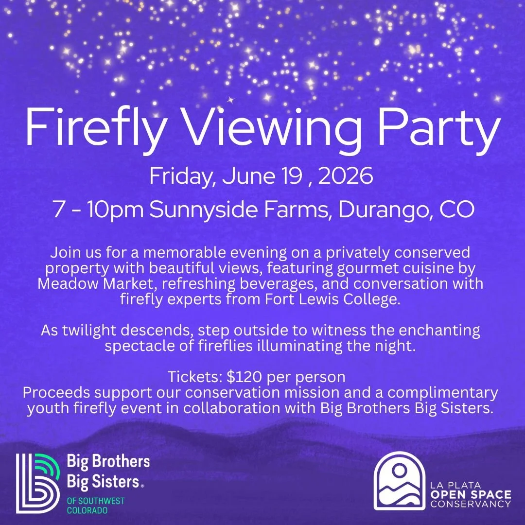Copy of 2026 Firefly Viewing party (1).jpg