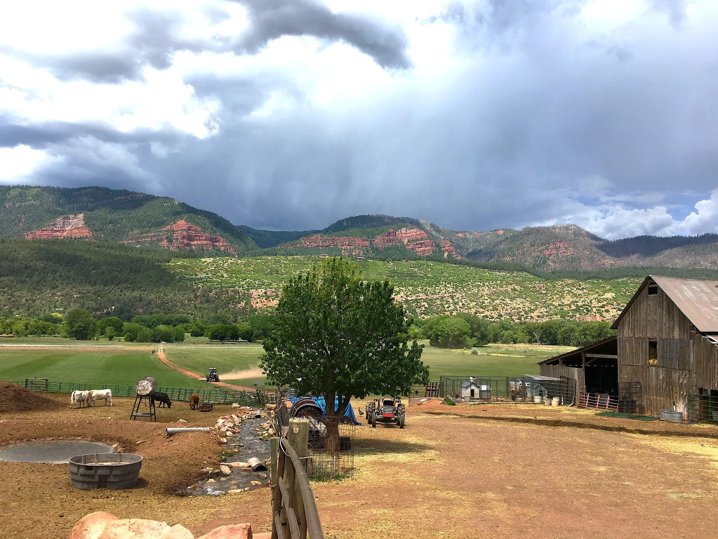 Ganzerla Ranch Stormy 1.JPG
