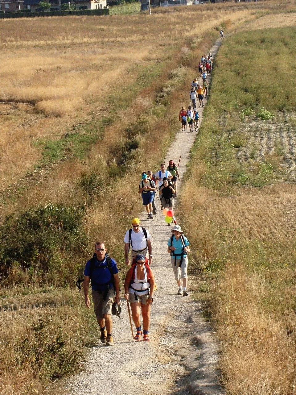 Walk the Camino-Spain