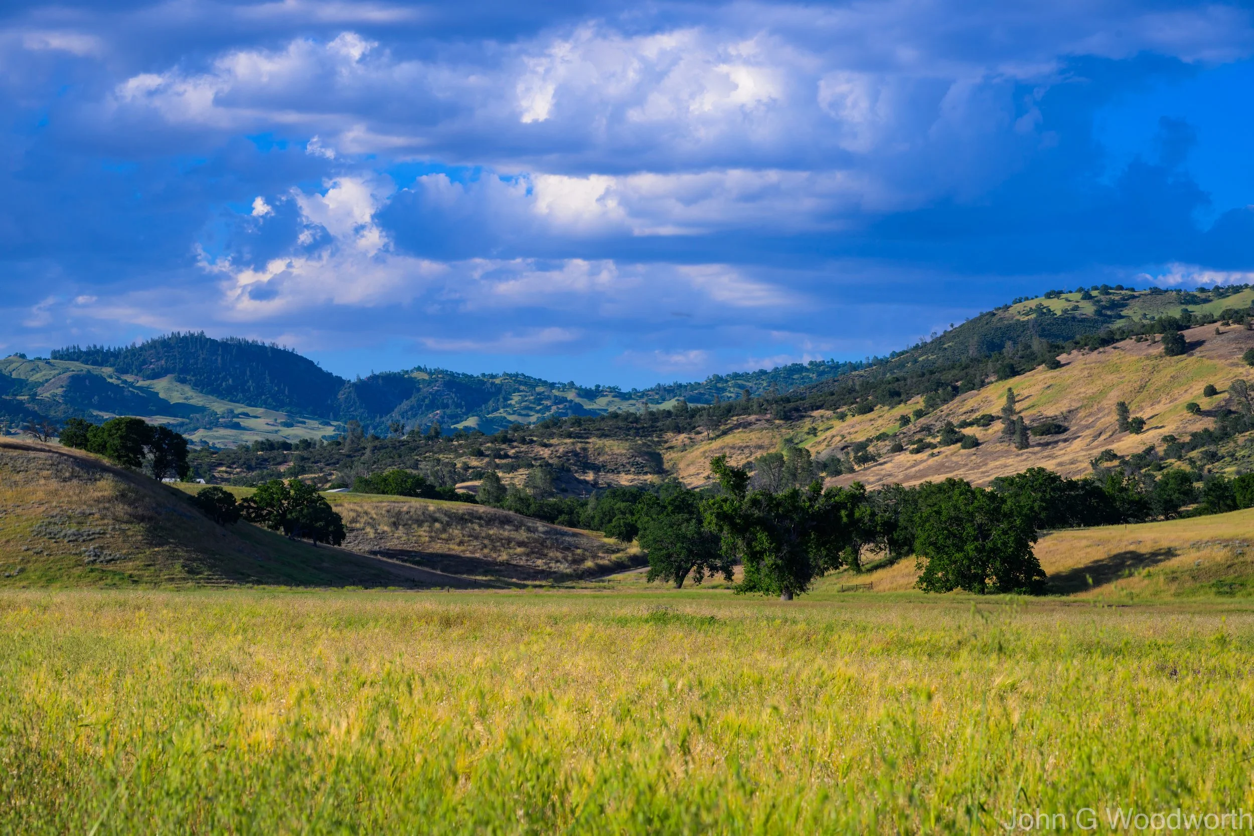 Photo: John G. Woodworth